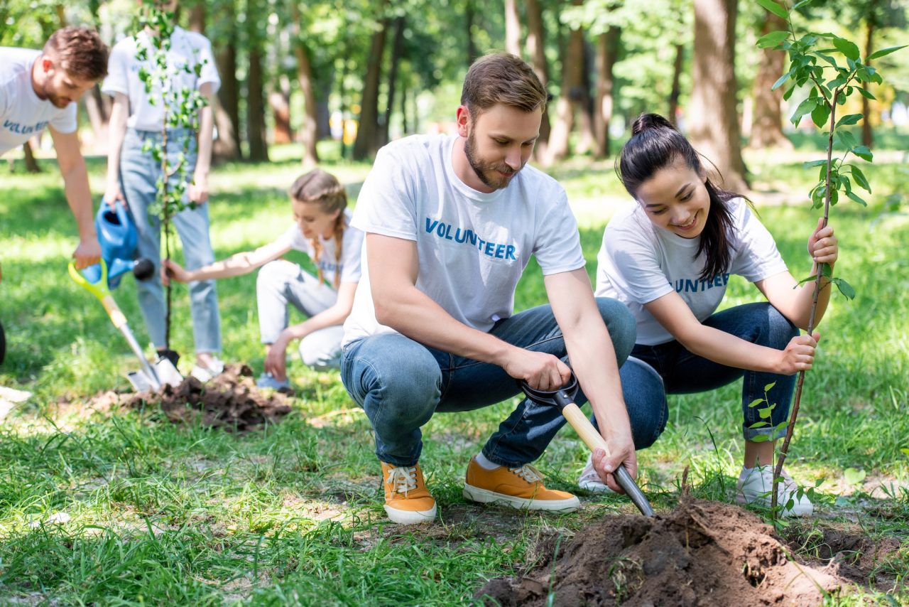 young-volunteers-planting-new-trees-in-park.jpg